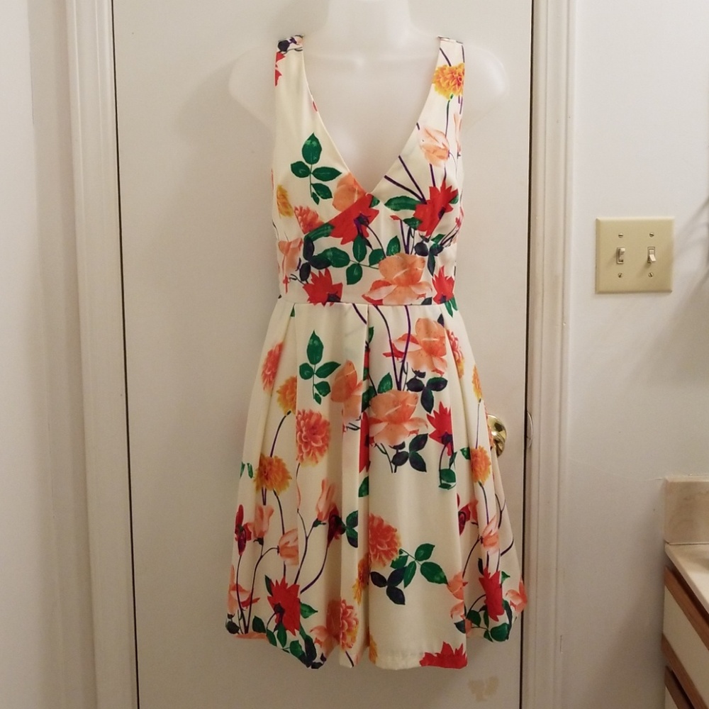 BB Dakota Beautiful dress